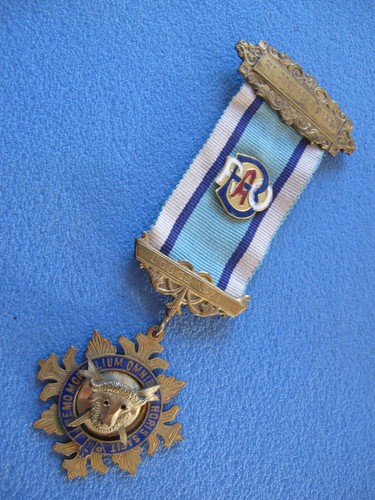 Raob buffalo lodge medal - lodge,
