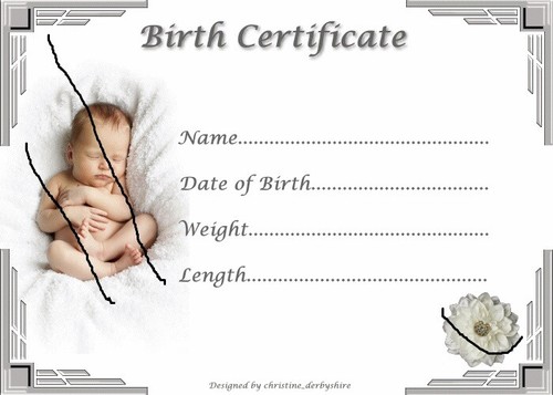 Cute silver birth - cute,