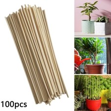 Support Your For Garden Plants