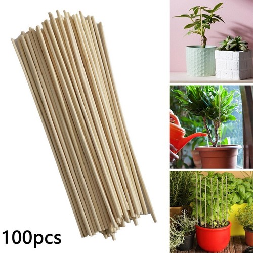 Support your for garden plants - support,