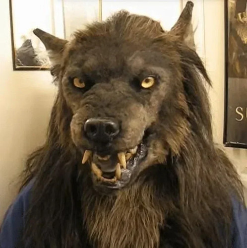 Halloween scary latex - latex, werewolf