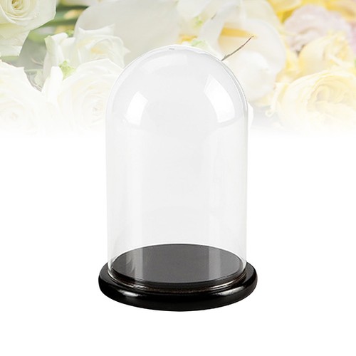 Tabletop centerpiece dome - tabletop,