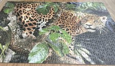 Jaguar by BBC Earth - 500 piece Jigsaw - Complete