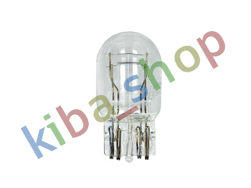 Light bulb cardboard 1pcs - light,
