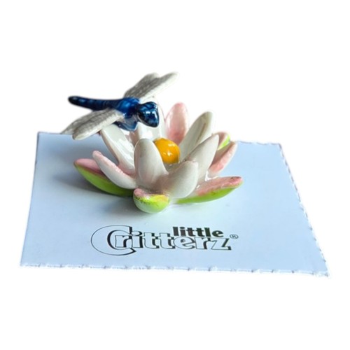 Little critterz dragonfly - little,