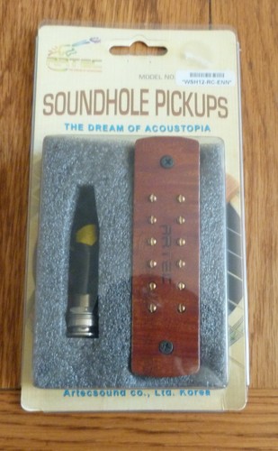 Acoustic guitar soundhole - acoustic,