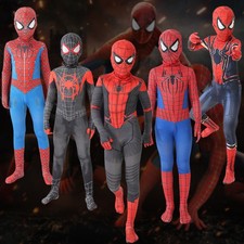 SpiderMan Superhero Cosplay