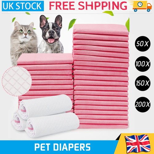 208x large puppy training - 52-208x,