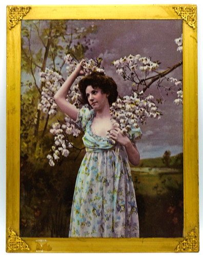 Cherry blossoms antique - cherry,