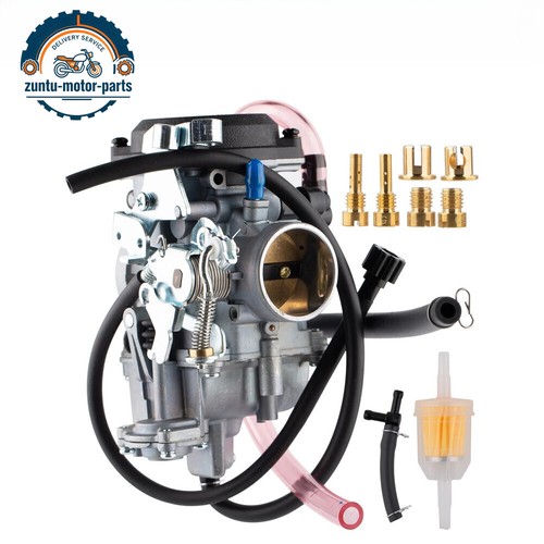 Carburetor fuel filter for - w/fuel,