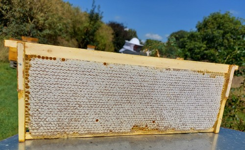 Raw honeycomb full frame 2kg - honeycomb,