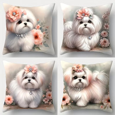 Beautiful 4 pieces set  cat