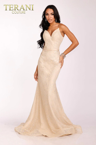 Terani couture 231p0038 - couture,
