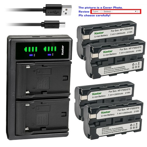Kastar battery lcd dual - kastar,