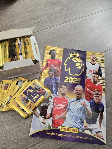 Premier league panini - premier, 24-25