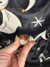 Stunning Citrine Crystal