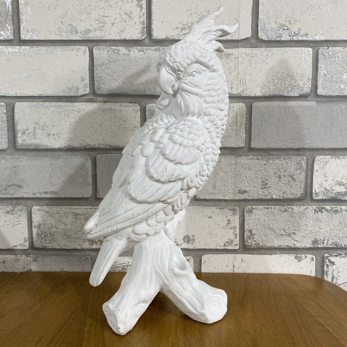 Paint your own - own, parrot