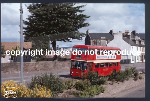 Original bus slide western - original,