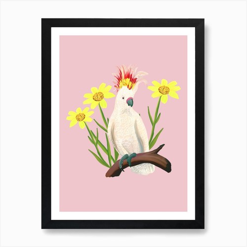 Major mitchells cockatoo pink - cockatoo,