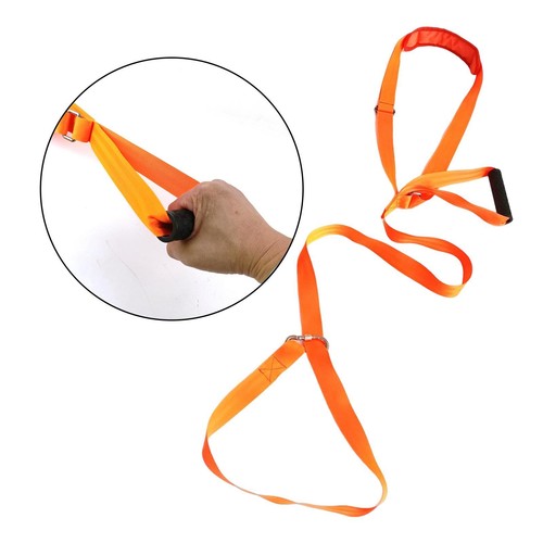 Deer drag - deer, rope