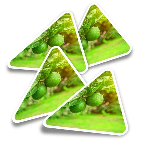 Triangle stickers citrus - triangle,