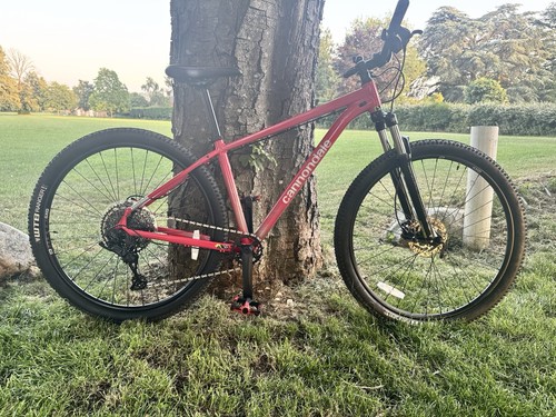 Cannondale trail 2025 low - trail, 5