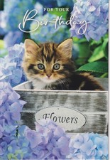 OPEN FEMALE MALE HAPPY