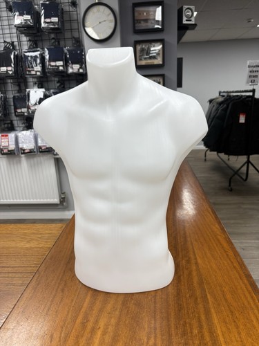 Morplan bust male torso - morplan,