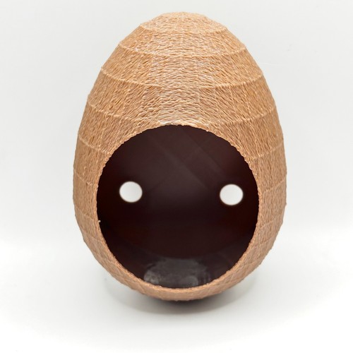 Egg hide frogs lizards - egg, frogs,