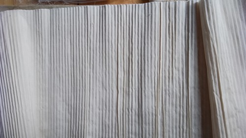 Ivory crystal pleated indian