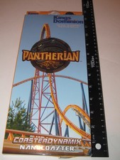 KINGS DOMINION ROLLER COASTER