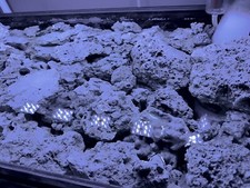 15 lbs Live Rock Marine