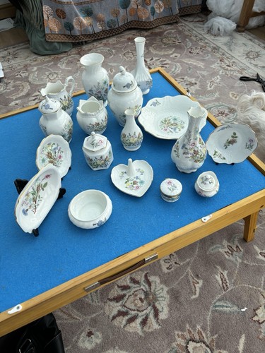 Collection aynsley wild - collection,