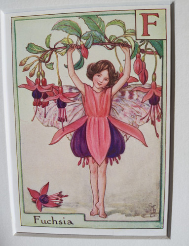 Vintage flower fairies print - vintage,