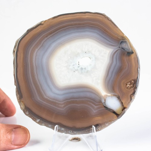 118g 97mm natural agate slice - 97mm,