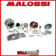 3115883 CYLINDER MALOSSI MHR