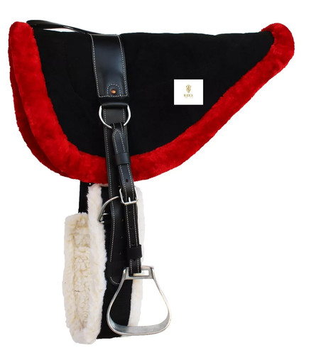 English horse riding bareback - horse,
