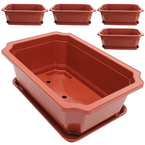 Sets bonsai pot large - sets,