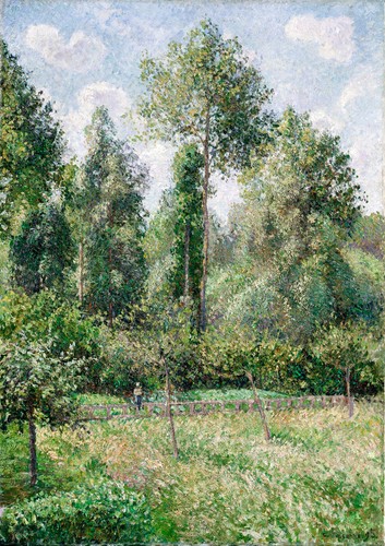 Poplars éragny 1895 camille - 1895,