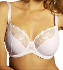 Shapely Figures White