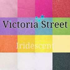 Pure Premium Glitter 100g IRIDESCENT Pastel Wine Glass Fine Craft Glitter Powder