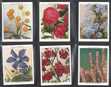 WILLS - GARDEN FLOWERS, NEW