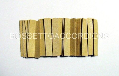 Accordion reed leather - accordion,