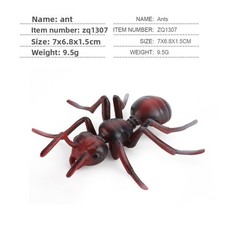 Insect Educational Toy Set