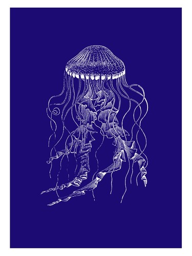 Jellyfish line art poster - jellyfish,