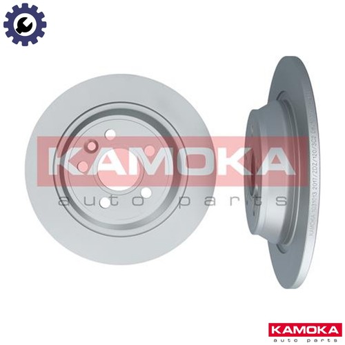 Brake disc 1031013 for - brake,