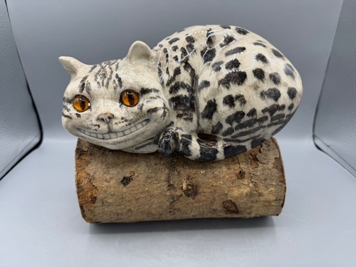 New winstanley cheshier - winstanley, cat