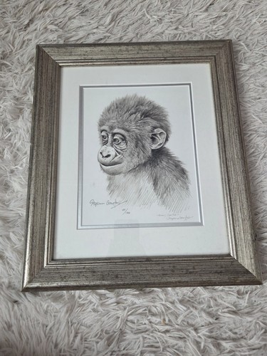 Stephen gayford signed baby - stephen,