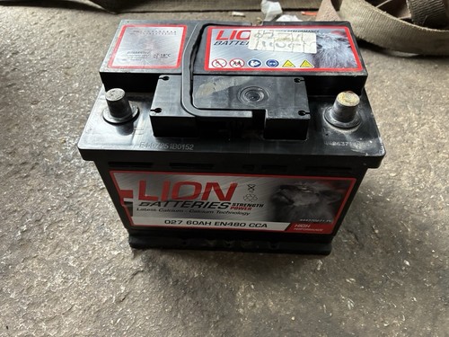 Lion car battery - lion,