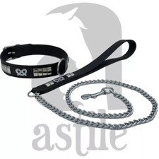 LEATHER BRASS STUDDED DOG